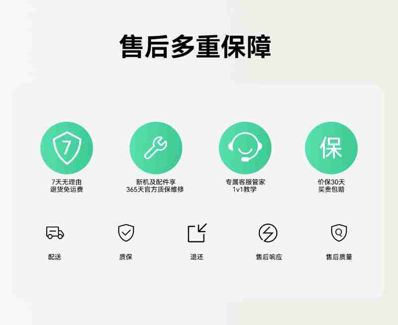 刚孵化的小海龟。新华社记者 樊雨晴 摄