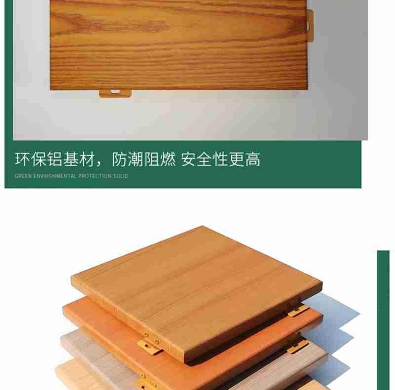 刚孵化的小海龟。新华社记者 樊雨晴 摄